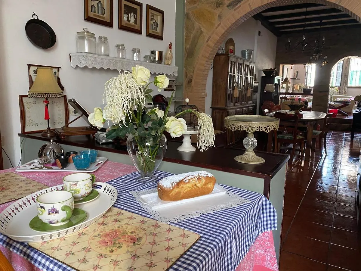 Loft Rural Apartment Tegueste