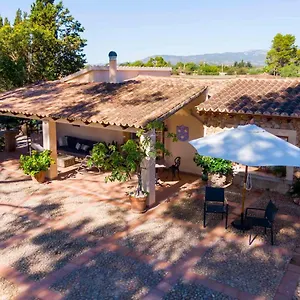 https://can-binissalem.balearic-islands.net